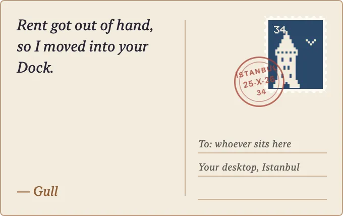 A postcard from the gull: “Rent got out of hand, so I moved into your Dock.” With an Istanbul stamp.